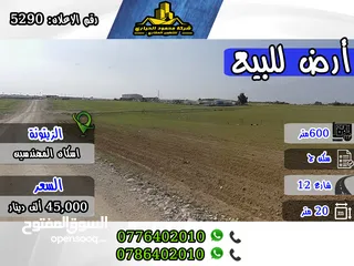  1 رقم الاعلان (5290) قطعة أرض مميزة للبيع في الزيتونة أسكان المهندسين