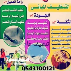  5 شركه تنظيف كنب وسجاد ومكافحه الحشرات والتعقيم