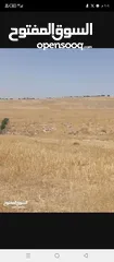  30 ارض زراعية للبيع  .. قطعه زراعية .   محافظة مادبا . ذيبان . مليح . حوض العلاقي . مساحة اربع دنمات