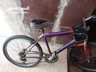  3 بسكليت نمره 24 ما بحتاج اشي