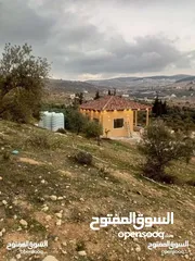  22 لقطه مزرعه مع بيت ريفي 48 الف قابل للتفاوض منطقه ريف جرش