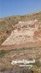  8 ارض  للبيع
