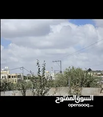  3 ارض للبيع حلحول منعين