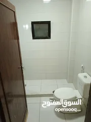  2 شقة فارغة للايجار