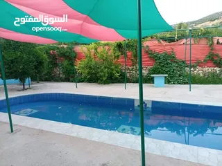  2 منتجع ومسابح ام ليمونه /عجلون / كفرنجة
