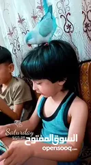  15 ببغاء كويكر. و دره. و فراخ دره و كويكر  تابع وصف طيور بسعر حرق