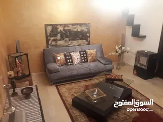  18 Fully Furnished Villa for rent