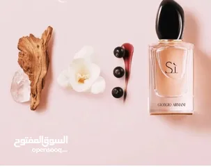  13 عطور رجالية ونسائية 