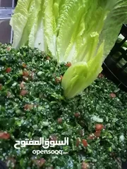  21 مطبخ انتاجي