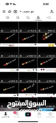 2 حساب تيك توك مافيه وهمي