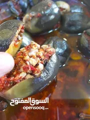  6 مقدوس ولبنه وشطه