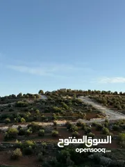  21 للبيع قطعة ارض ثلاث دنمات ونصف منطقة نادرة جرش بسعر مميز