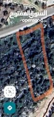  1 اراضي للبيع في صوريف