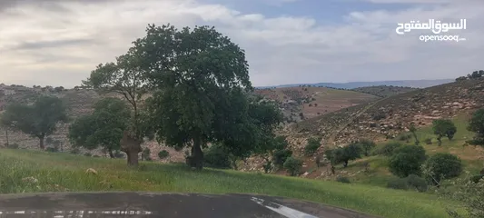  4 الكمشه حوض المكمان 3405 م على شارعين اطلاله شماليه غربيه رائعه مستصلحه ومسوره قرب الخدمات