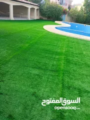 26 artificial grass