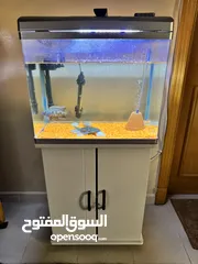  4 Fish tank for sale