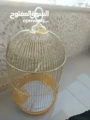  1 قفص ذهبي قاعدته شفافة مع مرجيحة لجميع انواع الطيور لطيور الحب و الكوكتيل و الجنة