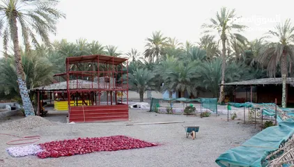  14 غرف للاجار اليومي في جعلان بني بو علي  Rooms in Jalaan Bani Bu Ali on daily basis