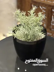  14 شجر اطناعي بطابع الطبيعي