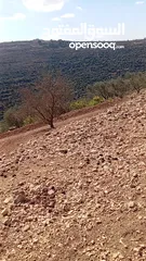  10 أرض مميزة للبيع