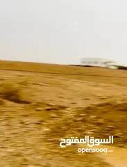  4 ارض مساحة 1600 متر مربع للبيع تصنيف أ في بلدة العوجا الهادئة الجميلة