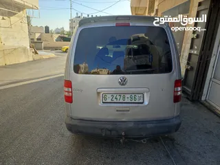  1 كادي شصي طويل للبيع 2012