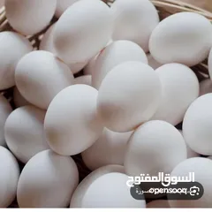  1 بيض بلدي ومزرعي للاكل