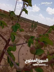  7 أرض ضمن كومباوند المطار 4 بمساحة 3600m للبيع بسعر حرق