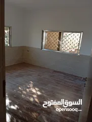 13 شفة للايجار