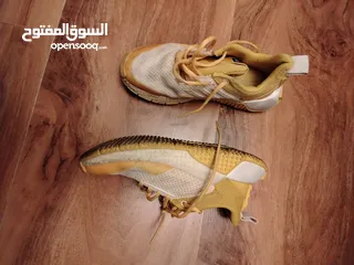  3 أديداس لوجو نمرة 36