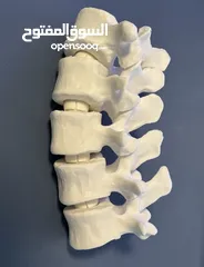  5 مجسمات 3 للطلاب و الجامعات