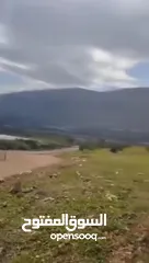 2 بيع ارض بالنصاريه جيدة وممتازه وقابله للزراعه والسكن