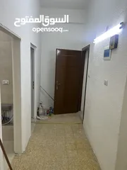  11 للباحثين عن الاستثمار عماره للبيع مؤجره بسعر رائع  او للبدل على عقار مع إمكانيه دفعه واقساط