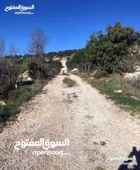  11 أرض استثماريه مميزه بجبال عجلون السياحيه