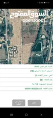  1 أرض مميزة للبيع الغور 700 M  غور نمرين شميساني الغور لقطة