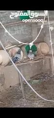  1 حمام مخلط للبيع