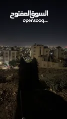  3 كلب جيرمن شيرد انثى سعر حرق