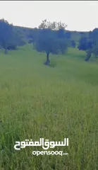  4 قطعه ارض للبيع من المالك مباشره ذات اطلاله بانوراما خلابه مفروزه