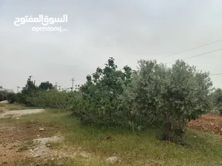  7 ارض سكنيه للبيع في مرو
