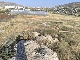  5 الارض للبيع 1235
