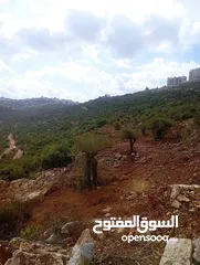  1 ارض بناء بين كوبر وبيرزيت بالقرب من اسكان نقابة جامعة بير زيت ومقابل مشروع تلال بيرزيت