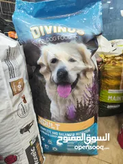  1 اكل كلاب دافينوس 20 كيلو