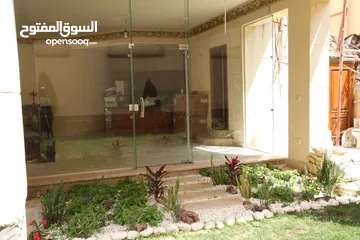  17 قصر للبيع في ارقي احياء زايد منطقه القصور والفيلات