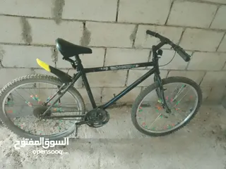  1 بسكليت عدد 2