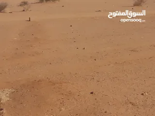  3 قطعة ارض  للبيع في ام درمان الريف الشمالي