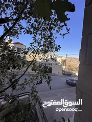  13 شقة مشطية جاهزة للبيع