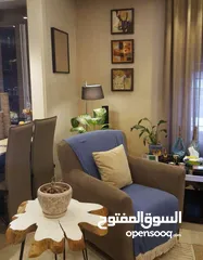  11 شقة مفروشة فاخرة في أرقى واجمل مناطق دابوق اعلان رقم (X19)