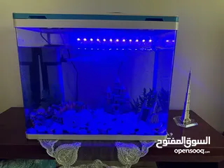  2 Aquarium in very good condition
