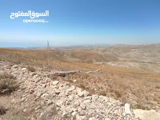  11 مادبا ماعين قطعة أرض زراعية مميزة مطلة على البحر الميت والضفة الغربية بمساحة 21 دونم