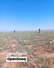  10 نِيغده – بور (Niğde – Bor)  من أجمل وأخصب المناطق الزراعية في تركيا  للبيع 10 ألف دونم ارض زراعية